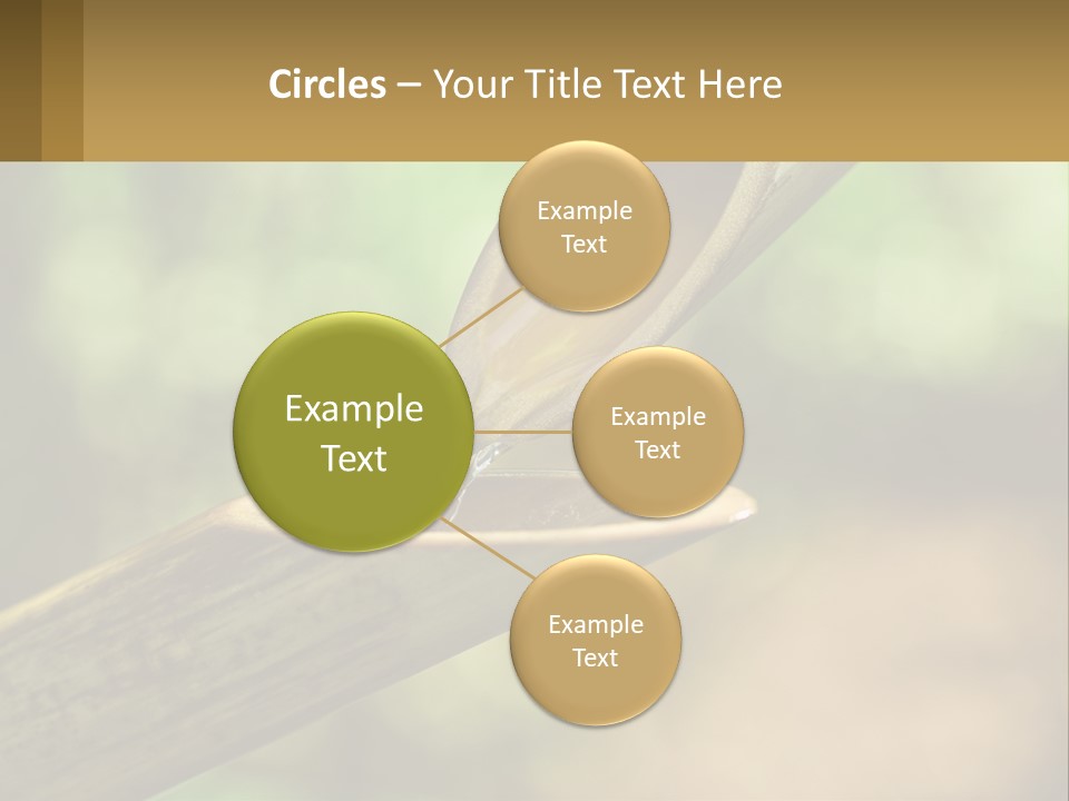 A Drop Of Water Coming Out Of A Wooden Bowl PowerPoint Template