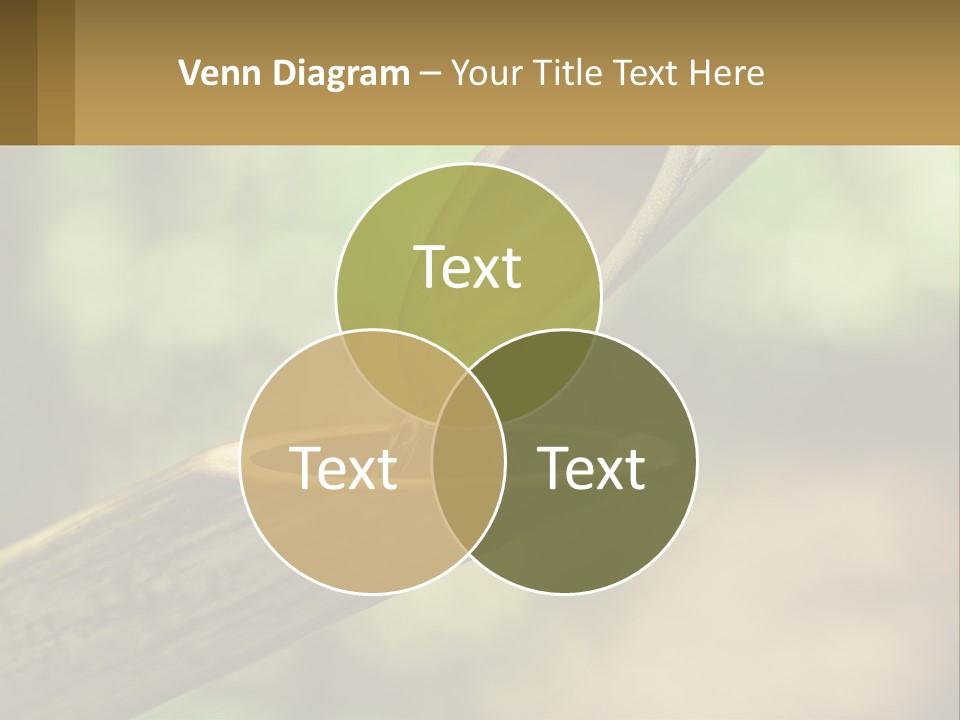 A Drop Of Water Coming Out Of A Wooden Bowl PowerPoint Template