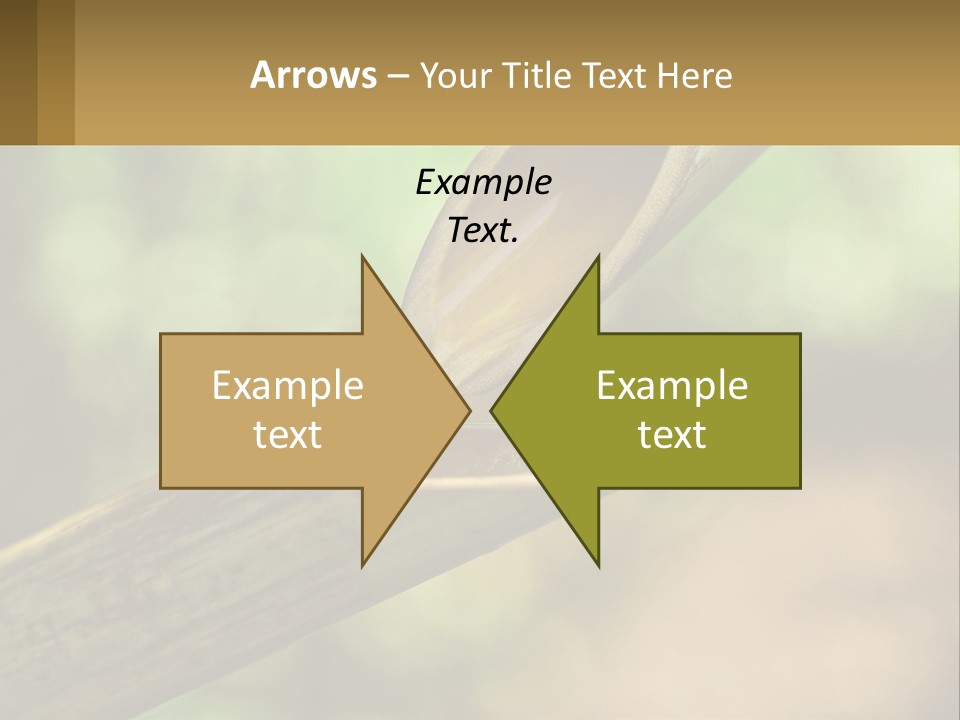 A Drop Of Water Coming Out Of A Wooden Bowl PowerPoint Template