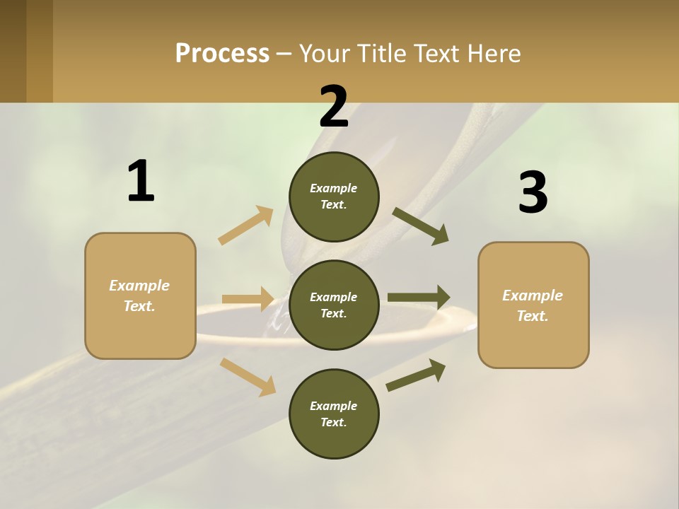 A Drop Of Water Coming Out Of A Wooden Bowl PowerPoint Template