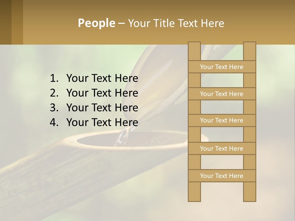 A Drop Of Water Coming Out Of A Wooden Bowl PowerPoint Template