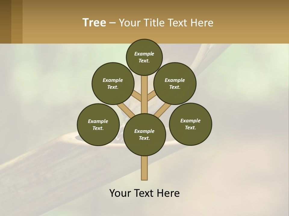 A Drop Of Water Coming Out Of A Wooden Bowl PowerPoint Template