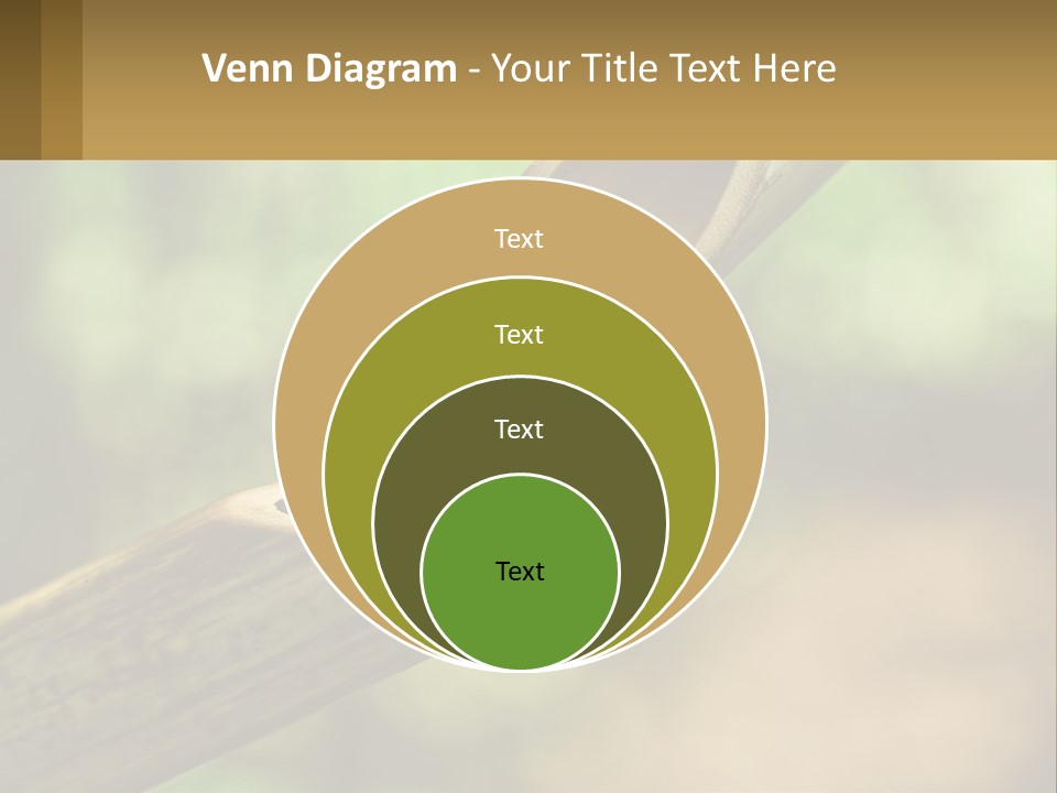 A Drop Of Water Coming Out Of A Wooden Bowl PowerPoint Template