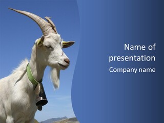 A Goat With Horns Is Standing On A Hill PowerPoint Template