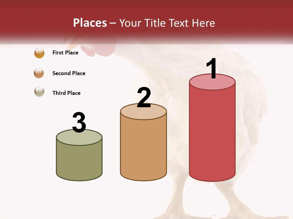 A White Chicken With A Red Comb On It's Head PowerPoint Template