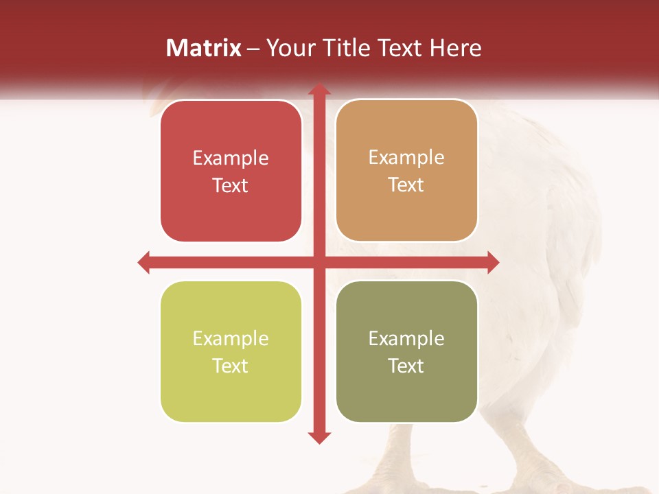 A White Chicken With A Red Comb On It's Head PowerPoint Template