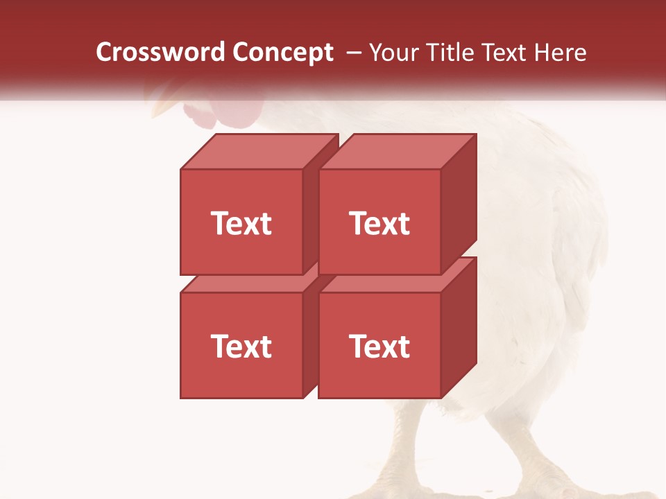 A White Chicken With A Red Comb On It's Head PowerPoint Template