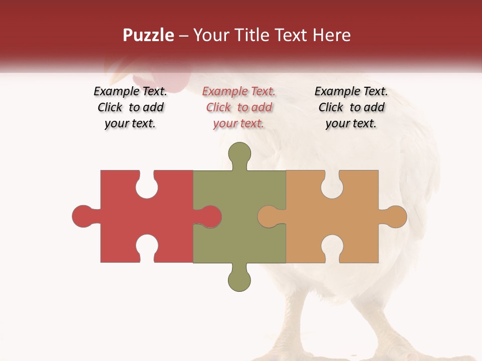 A White Chicken With A Red Comb On It's Head PowerPoint Template