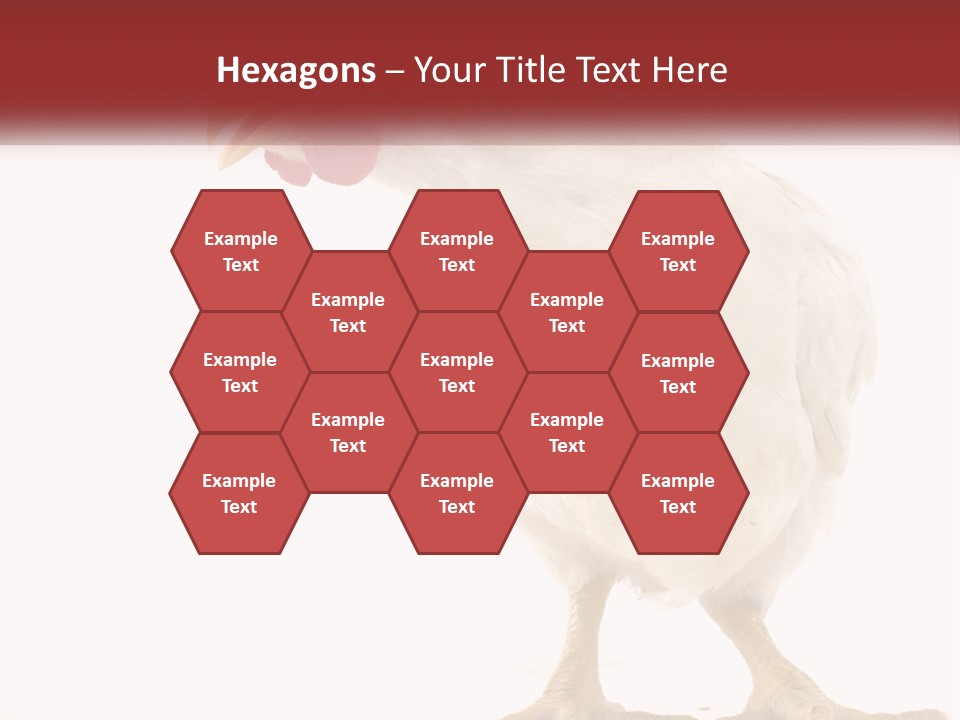 A White Chicken With A Red Comb On It's Head PowerPoint Template