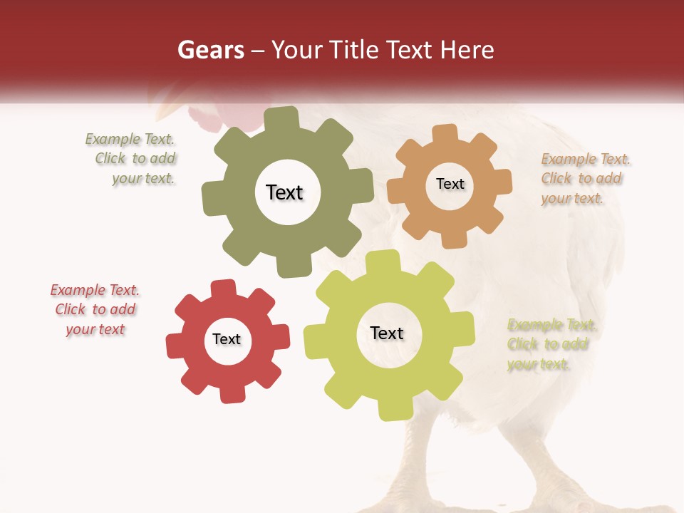 A White Chicken With A Red Comb On It's Head PowerPoint Template