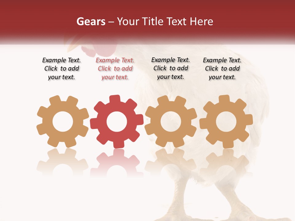 A White Chicken With A Red Comb On It's Head PowerPoint Template