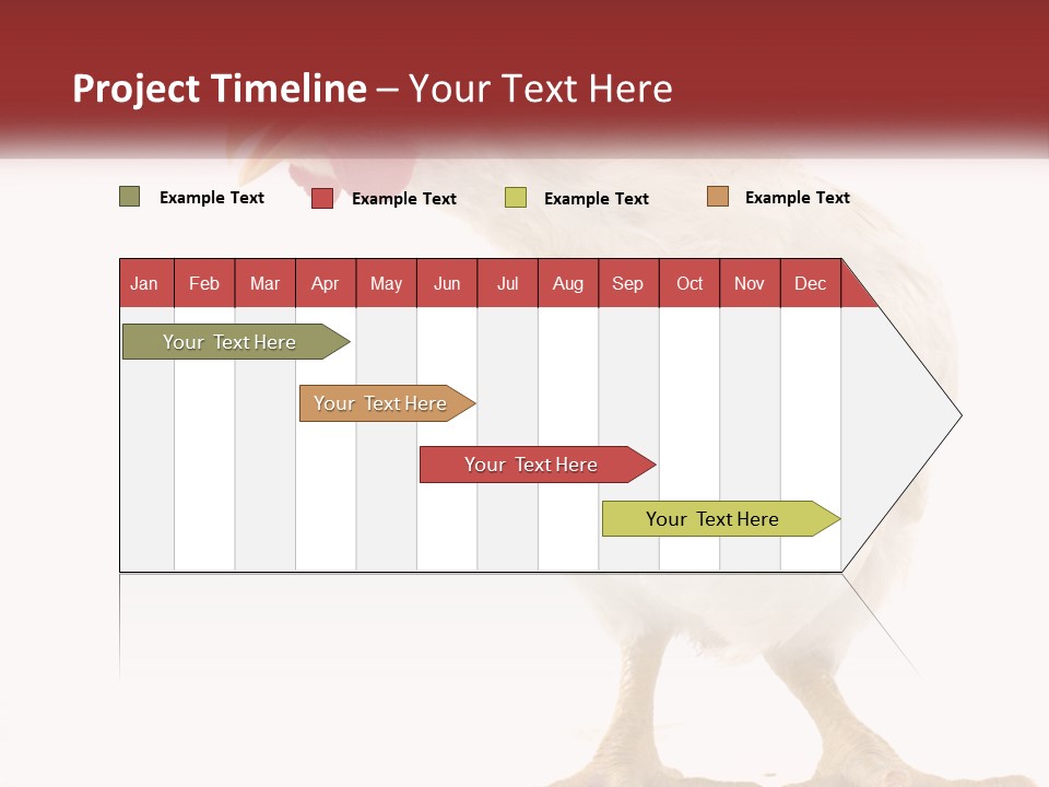 A White Chicken With A Red Comb On It's Head PowerPoint Template