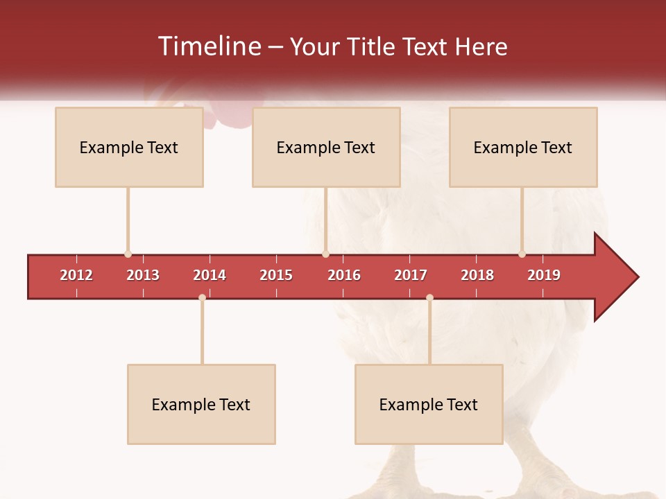 A White Chicken With A Red Comb On It's Head PowerPoint Template