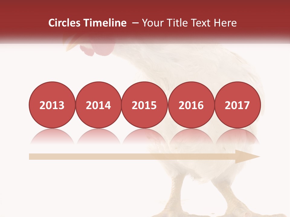 A White Chicken With A Red Comb On It's Head PowerPoint Template