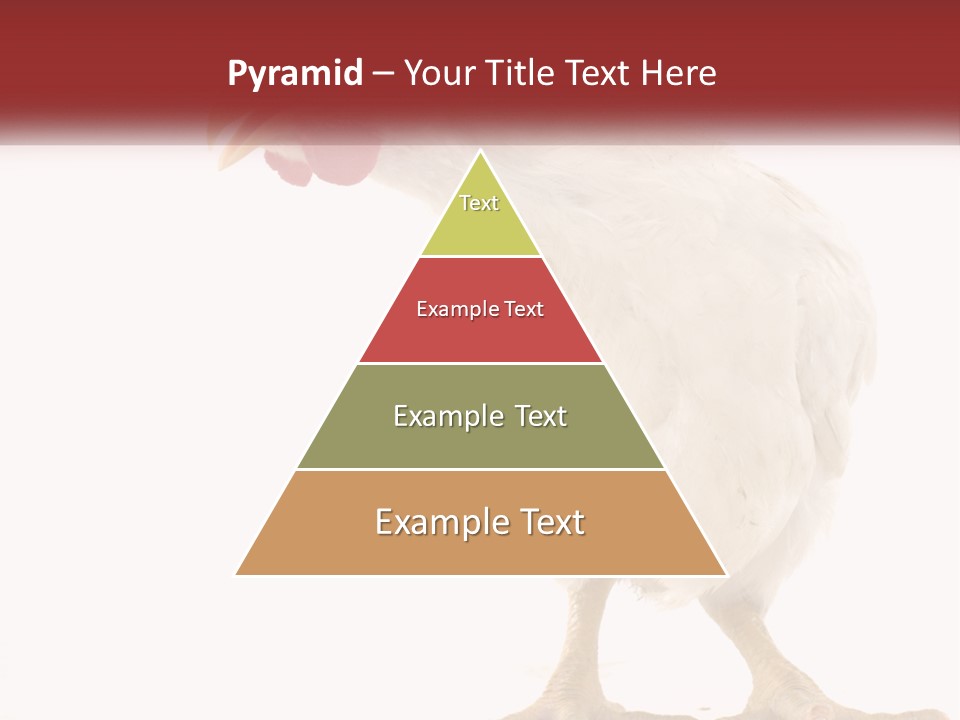 A White Chicken With A Red Comb On It's Head PowerPoint Template