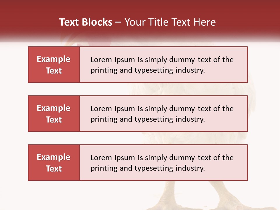 A White Chicken With A Red Comb On It's Head PowerPoint Template