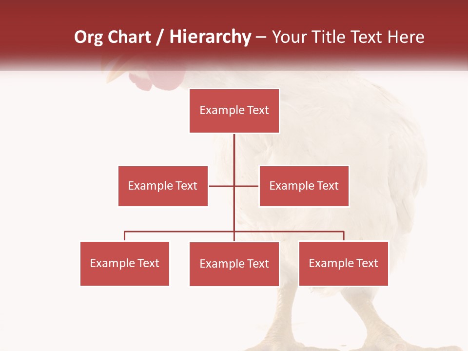 A White Chicken With A Red Comb On It's Head PowerPoint Template