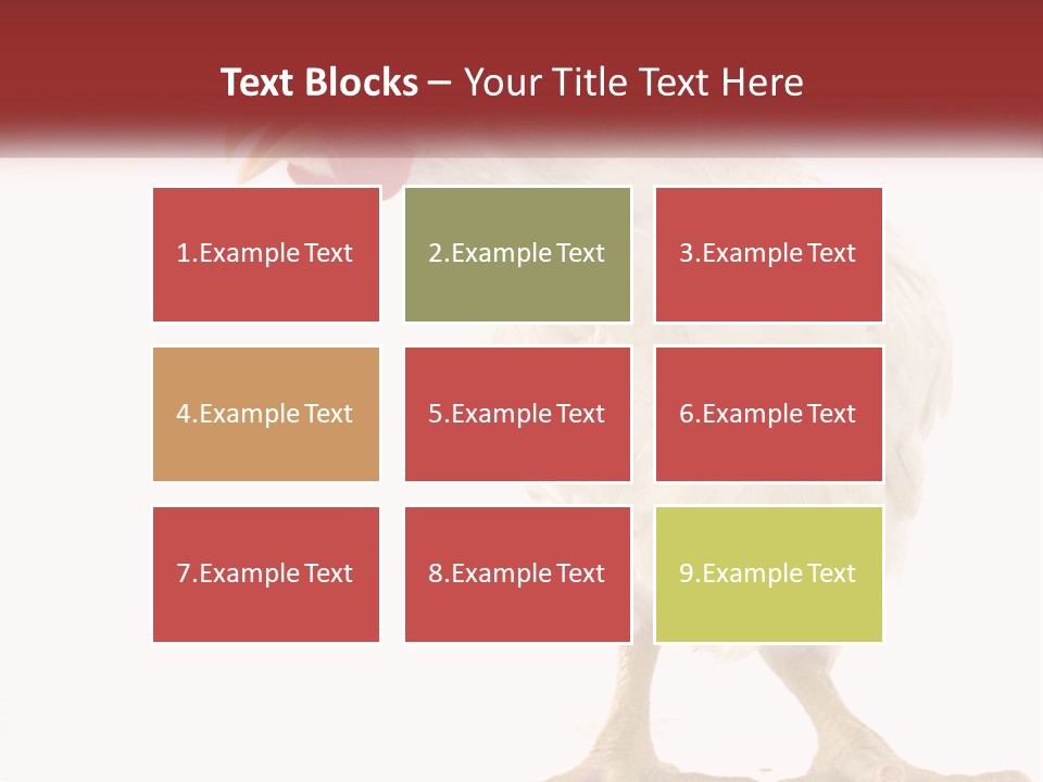 A White Chicken With A Red Comb On It's Head PowerPoint Template