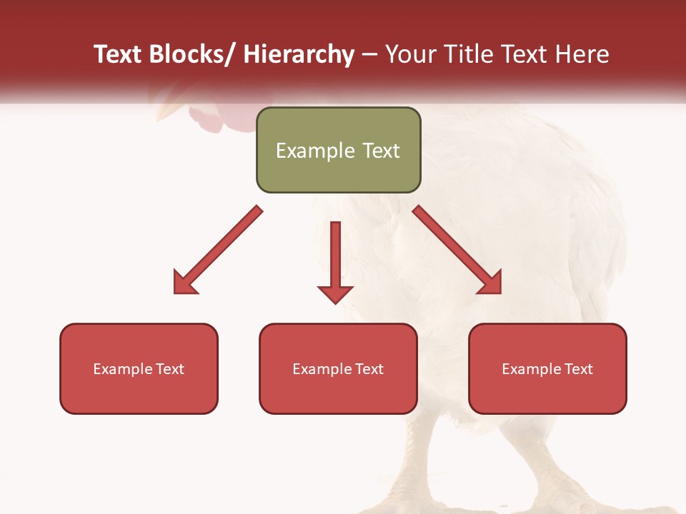 A White Chicken With A Red Comb On It's Head PowerPoint Template