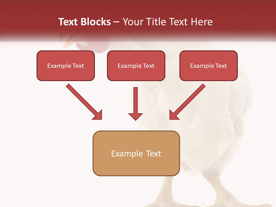 A White Chicken With A Red Comb On It's Head PowerPoint Template
