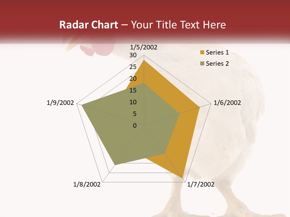 A White Chicken With A Red Comb On It's Head PowerPoint Template