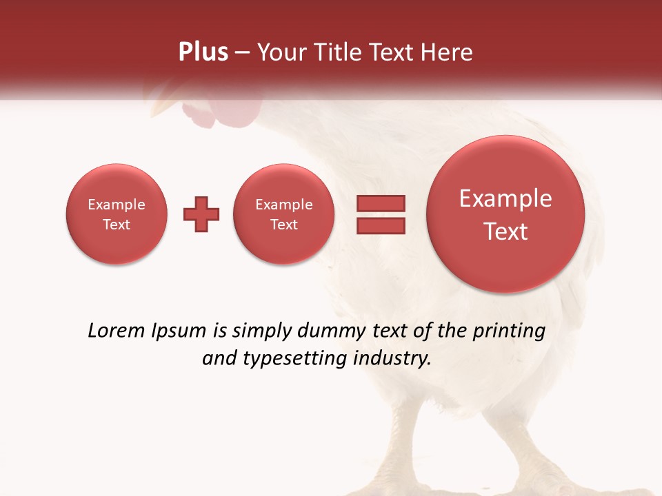 A White Chicken With A Red Comb On It's Head PowerPoint Template