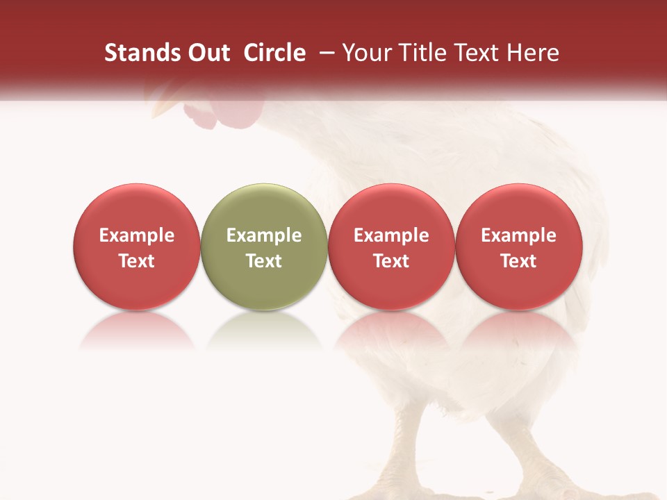 A White Chicken With A Red Comb On It's Head PowerPoint Template