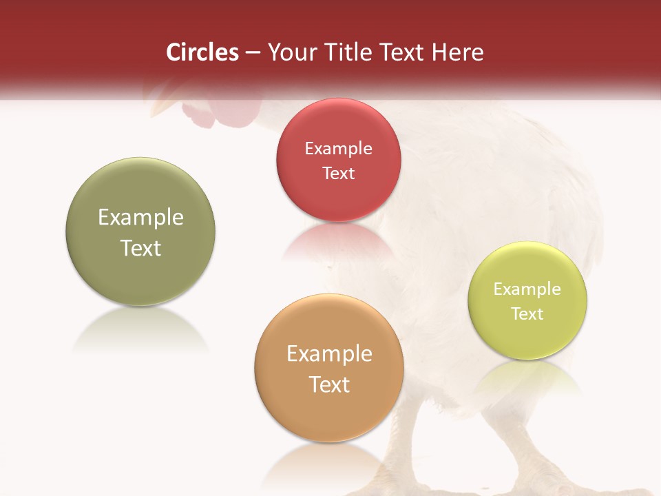 A White Chicken With A Red Comb On It's Head PowerPoint Template