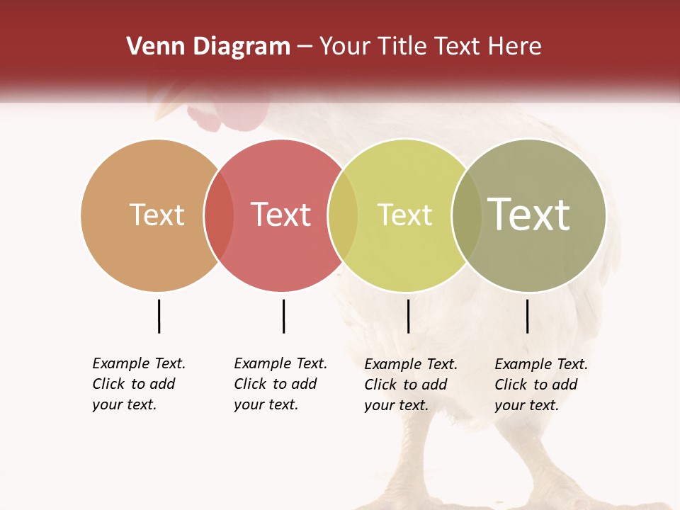 A White Chicken With A Red Comb On It's Head PowerPoint Template