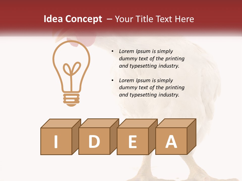 A White Chicken With A Red Comb On It's Head PowerPoint Template