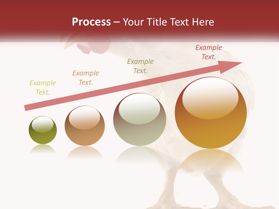 A White Chicken With A Red Comb On It's Head PowerPoint Template