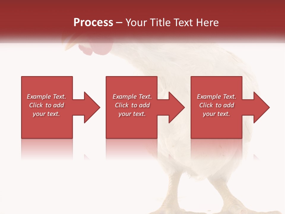A White Chicken With A Red Comb On It's Head PowerPoint Template