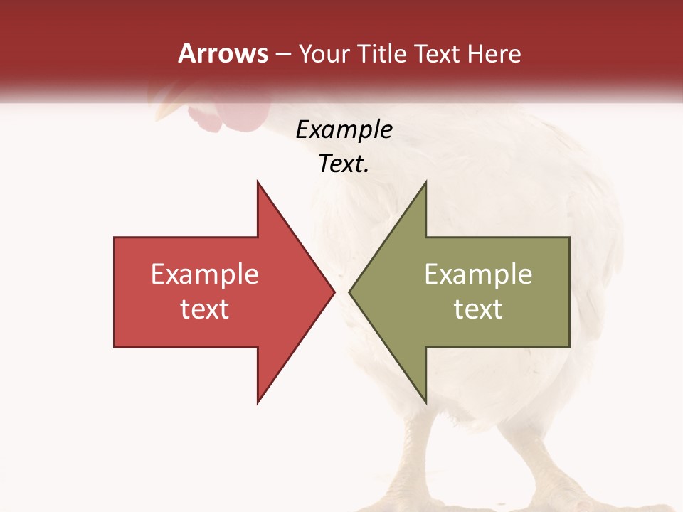 A White Chicken With A Red Comb On It's Head PowerPoint Template