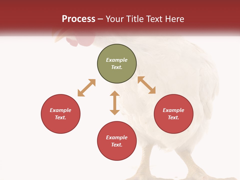 A White Chicken With A Red Comb On It's Head PowerPoint Template