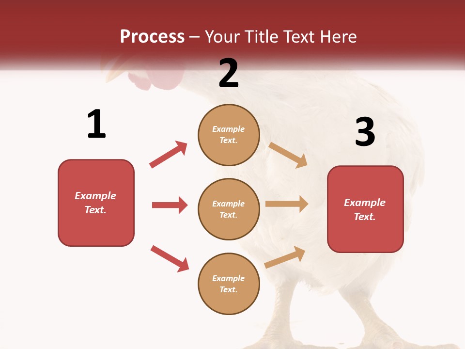 A White Chicken With A Red Comb On It's Head PowerPoint Template