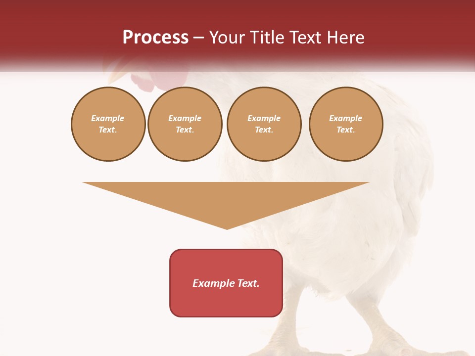A White Chicken With A Red Comb On It's Head PowerPoint Template