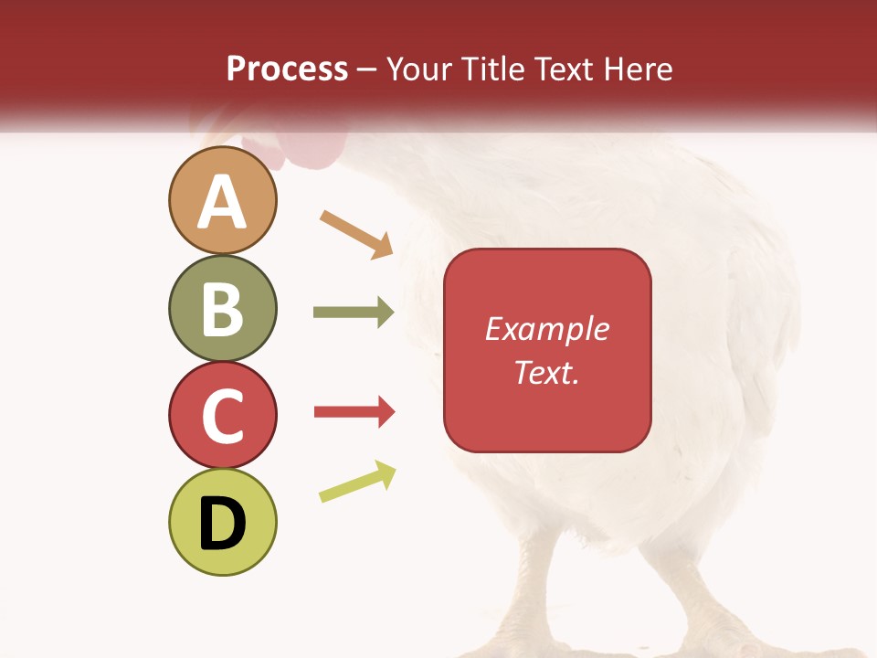 A White Chicken With A Red Comb On It's Head PowerPoint Template