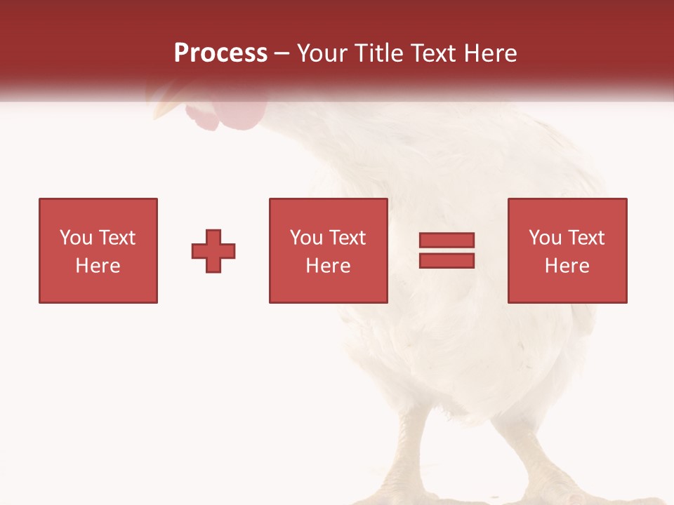 A White Chicken With A Red Comb On It's Head PowerPoint Template