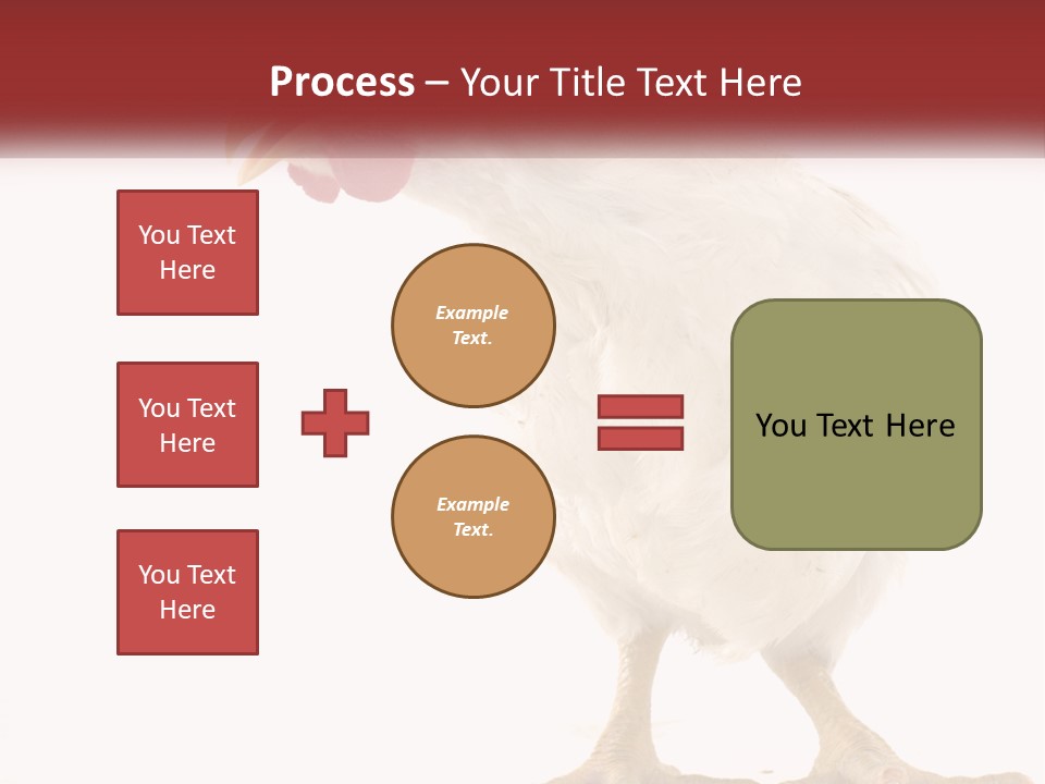 A White Chicken With A Red Comb On It's Head PowerPoint Template
