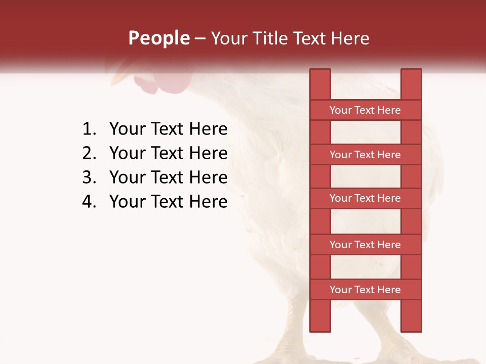 A White Chicken With A Red Comb On It's Head PowerPoint Template