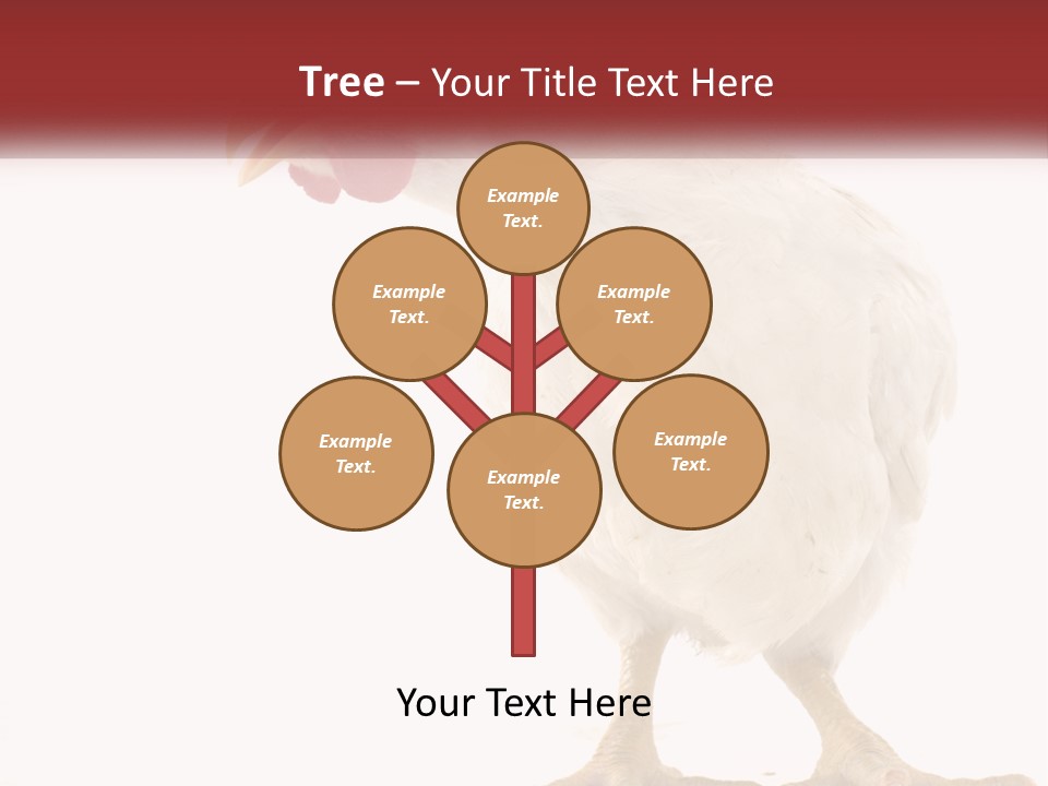 A White Chicken With A Red Comb On It's Head PowerPoint Template