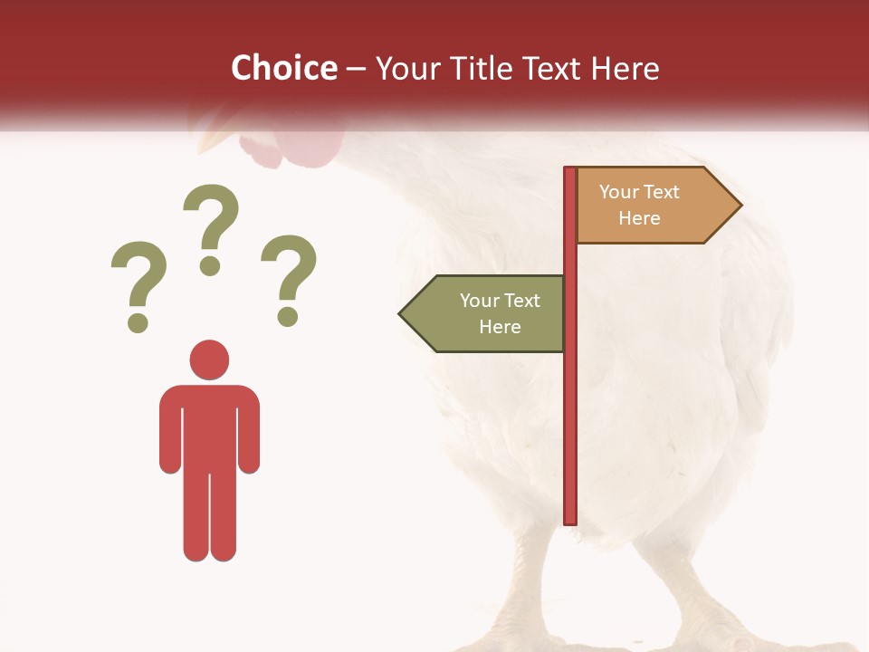 A White Chicken With A Red Comb On It's Head PowerPoint Template
