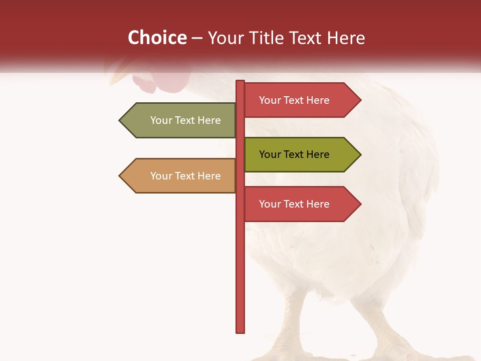 A White Chicken With A Red Comb On It's Head PowerPoint Template