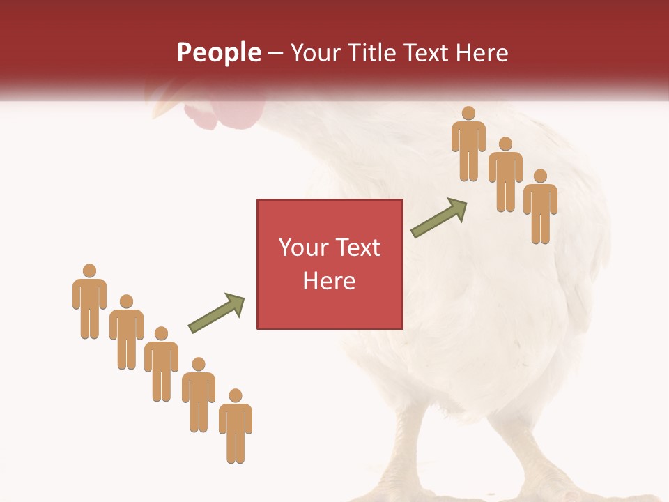 A White Chicken With A Red Comb On It's Head PowerPoint Template