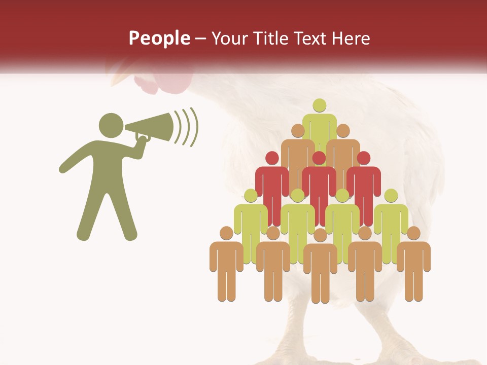 A White Chicken With A Red Comb On It's Head PowerPoint Template