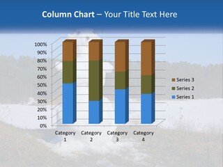 A Snowman Is Standing In The Middle Of A Field PowerPoint Template