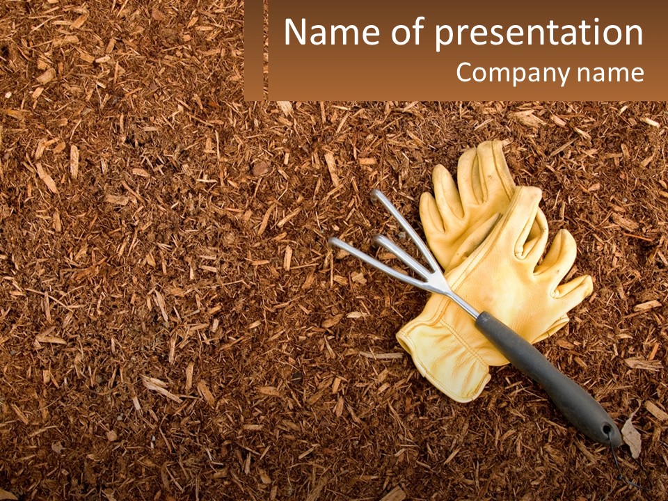 A Pair Of Gloves And A Pair Of Scissors On A Pile Of Wood Shaving PowerPoint Template