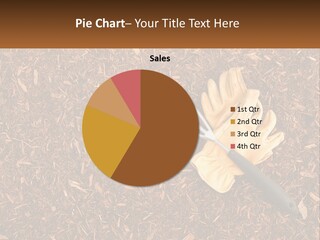 A Pair Of Gloves And A Pair Of Scissors On A Pile Of Wood Shaving PowerPoint Template