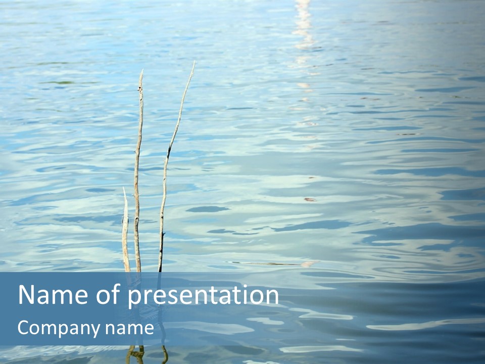 A Body Of Water With A Tree In It PowerPoint Template