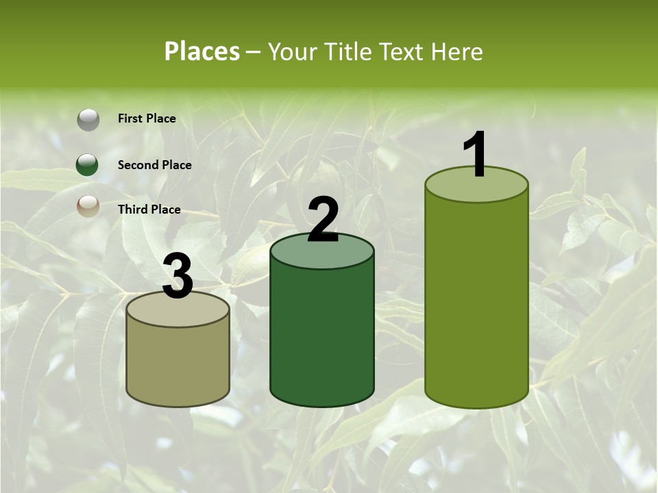 A Green Tree With Leaves And Nuts On It PowerPoint Template